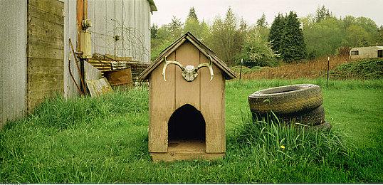 全面调整 《消逝的光芒：地狱突袭》将获最终更新